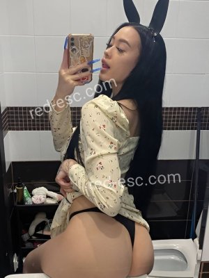 Дина — Кукмор
