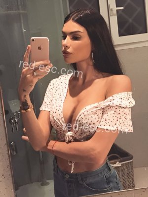 Света — Кукмор